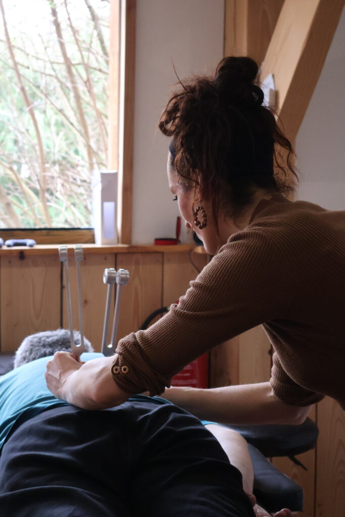 Formation Diapason