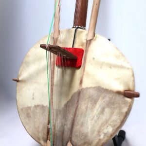 Kora traditionnelle amplifiée