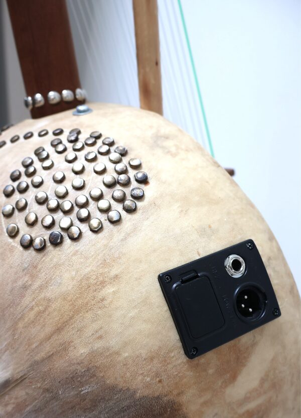 Kora traditionnelle amplifiée – Image 4