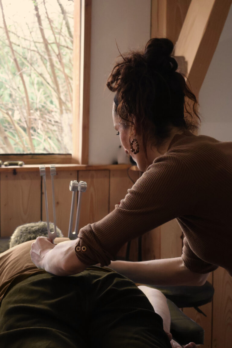 Formation Diapason Thérapeutique