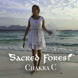 Cristal Harp Chakra_C